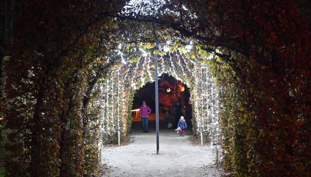 Kdaj bodo slovenska mesta zasijala v soju prazničnih luči? To so datumi ...