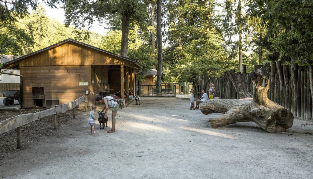 V ljubljanskem živalskem vrtu posebna obletnica