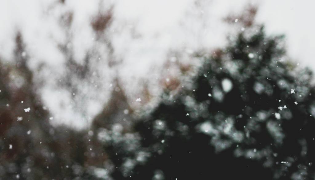 Ste pripravljeni na zimo? Hladna fronta bo prinesla sneg do nižin