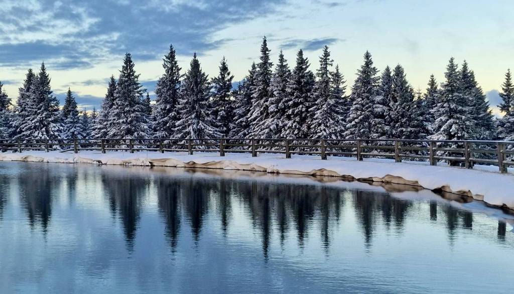 Deli države zaviti v snežno odejo, na cestah možna poledica