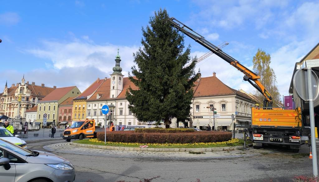 FOTO in VIDEO: V Maribor prispela smrekica, ki bo krasila Glavni trg