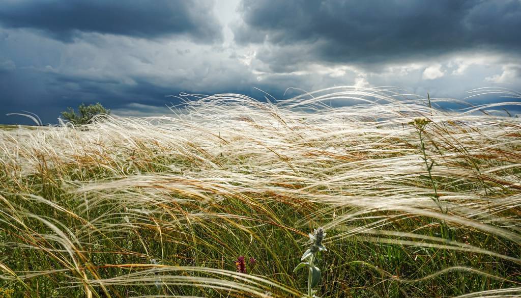 Močan veter prihaja na Štajersko, Arso izdal oranžno opozorilo