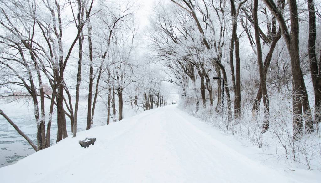 Se bomo prebudili v zasneženo jutro? Dež bo ponoči v večjem delu države prešel v sneg