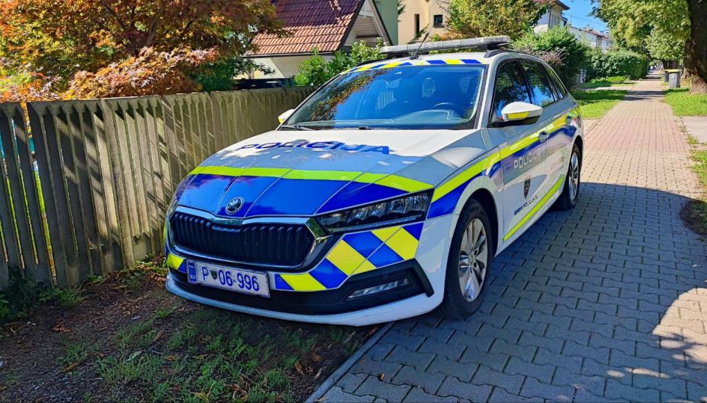 Zločini, ki so zaznamovali Ljubljano: Od umora Gašperja Tiča do zadnje tragedije v Dobrunjah, ko je materi sodila najstniška hči