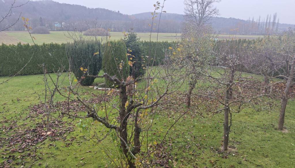 VIDEO: Na Goričkem zaplesale prve snežinke