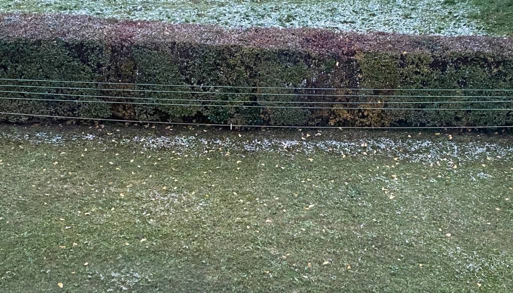 Štajerska ostaja brez snežne odeje, kdaj pa jo lahko pričakujemo?