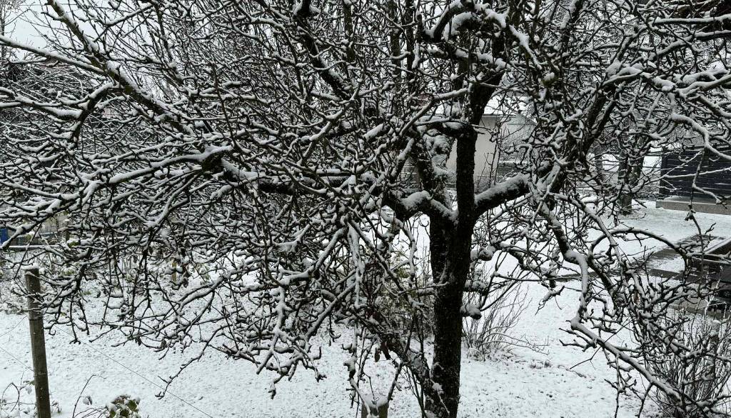FOTO in VIDEO: Tanka, pa vendar! Snežna odeja razveselila Dolenjce, v Kočevju spet sneži