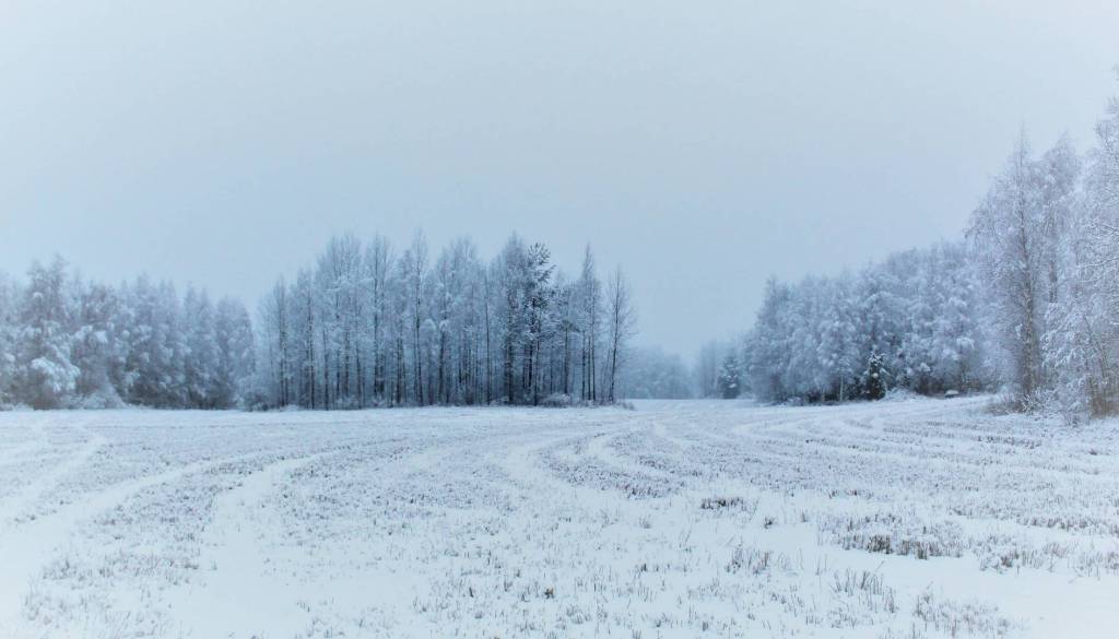 Meteorologi napovedujejo prehod vremenske fronte, meja sneženja se bo spuščala