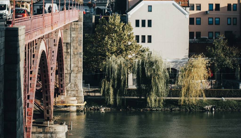 Ptičja vedno bližje Mariboru, strokovnjaki svarijo pred stikom z divjimi pticami