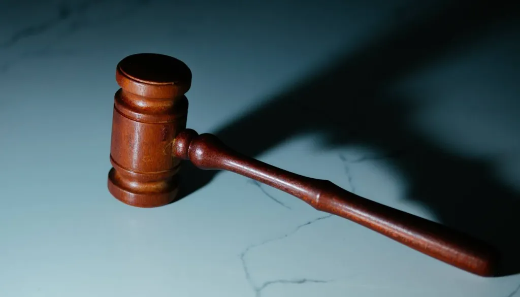 Sojenje Vozliču za umor 42-letnega državljana BiH-a prehaja v sklepno fazo