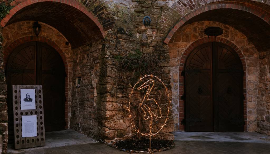 Prižig božičnih lučk v Domu penine: večer, ko zasije tradicija