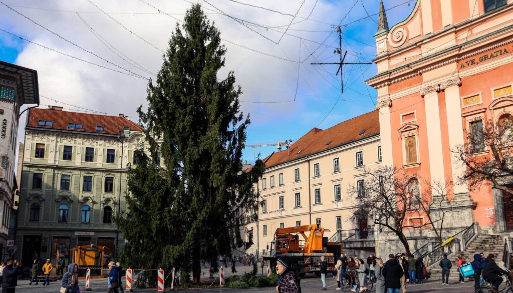 Božičnica ali Kristina? Danes izvemo, kako bo ime smreki na Prešernovem trgu!