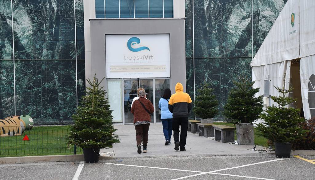 FOTO in VIDEO: Tropski vrt Ocean Orchids oživel v prazničnem vzdušju