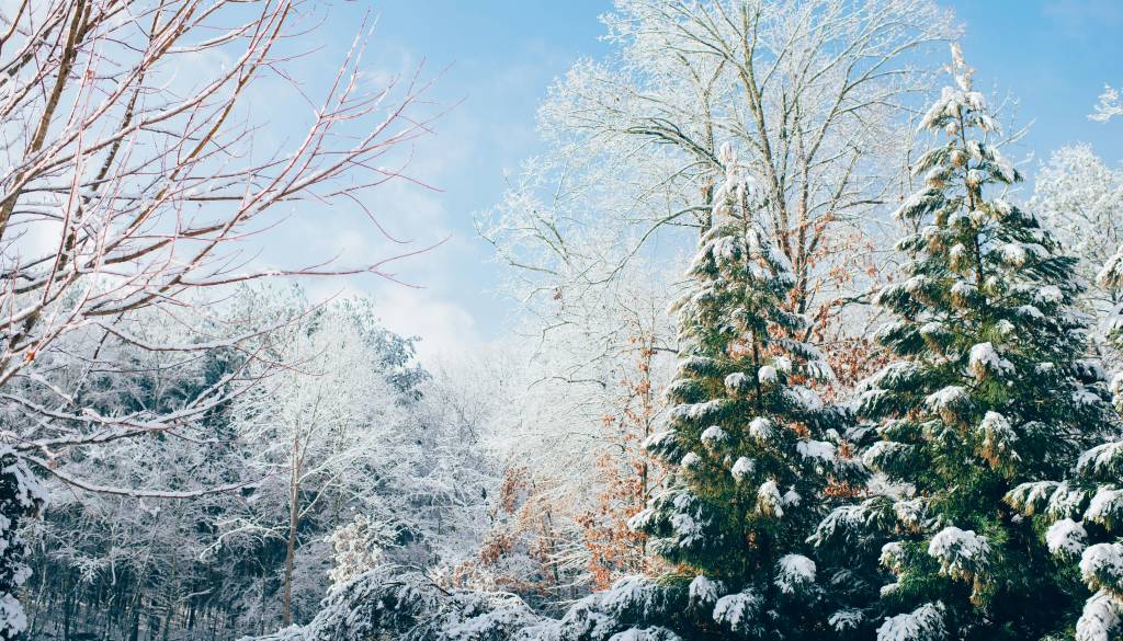 Nova napoved razkriva veliko več snega in mraz, kot so meteorologi napovedali