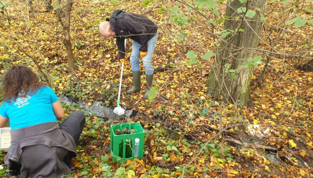 Nihče ne ve, kaj izteka iz bioplinarne v Ormožu. Odpadke naj bi kljub prepovedi še kar dovažali ...