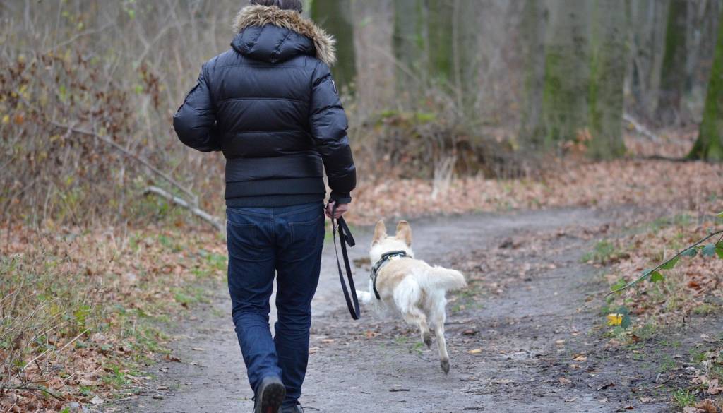 Slovenci opažajo negativne okoljske spremembe, skrbi jih podnebje