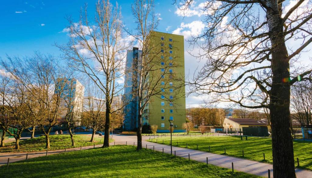 Volt Slovenija zbira podpise proti novi cesti, ki ogroža ljubljanske parke in šole 