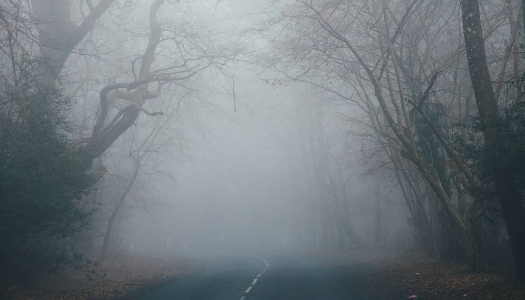 Megla ponoči in temperaturni obrat: Kaj nas čaka ta vikend?