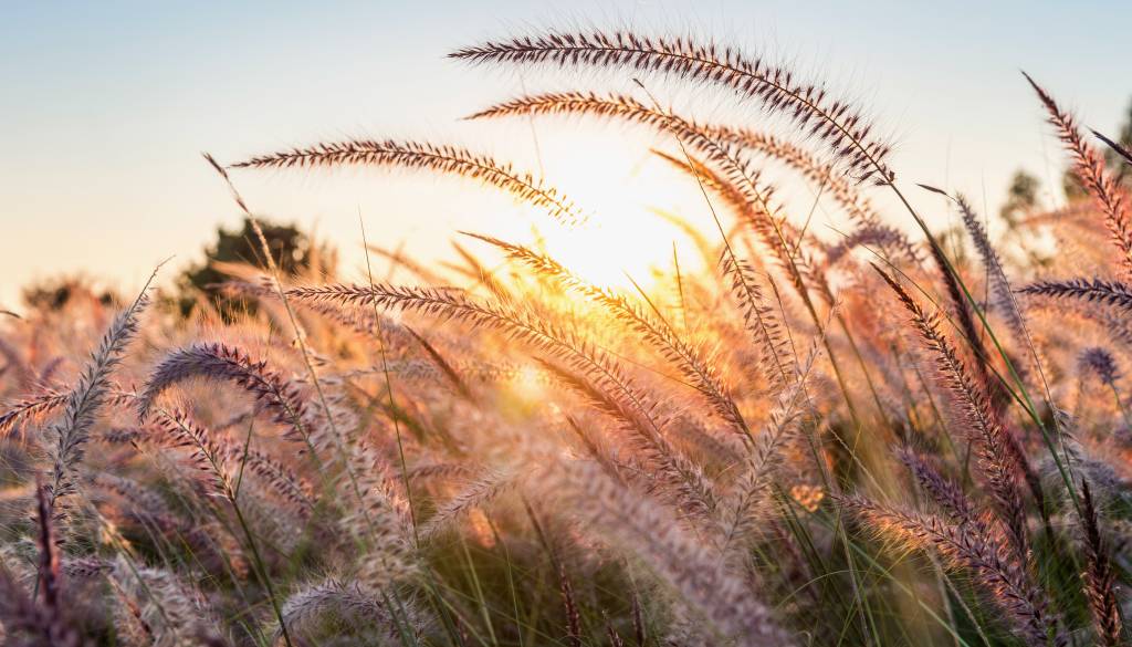 Zvezde razkrivajo dan poguma, strasti in sprememb