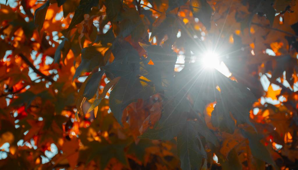 Pred nami jasna nedelja, kakšno bo vreme za začetek tedna?