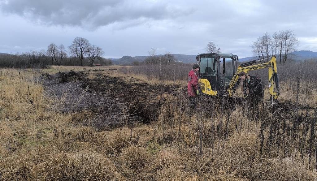 Na Ljubljanskem barju začeli obsežno odstranjevanje