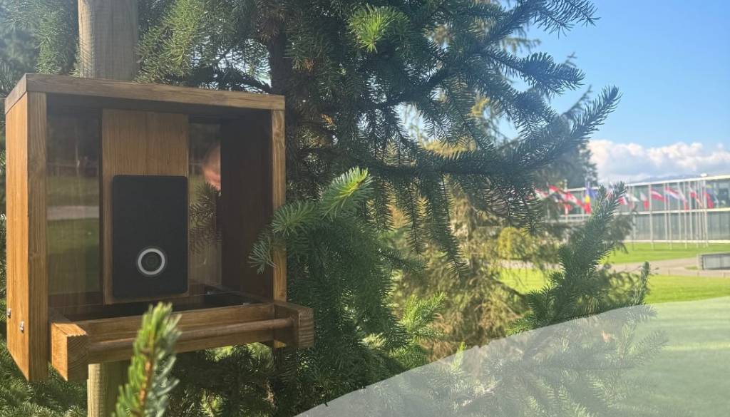 Dogajanje s protokolarnega posestva Brdo v živo: Ne predsedniki, ampak pernata druščina