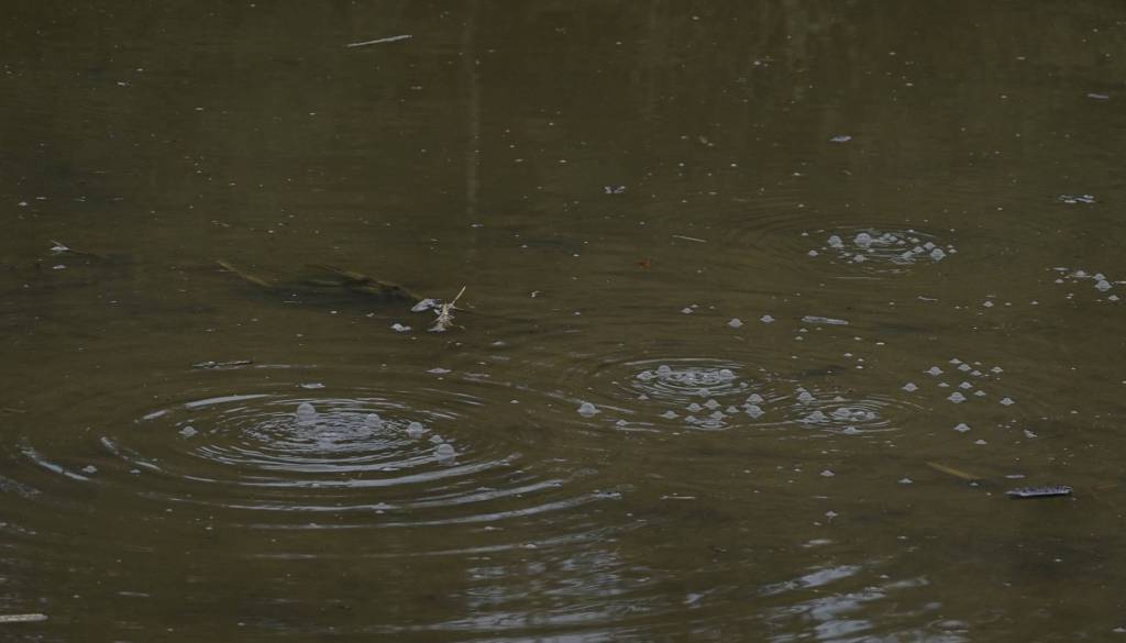 Na Savi se je prevrnil čoln z migranti, trije mrtvi