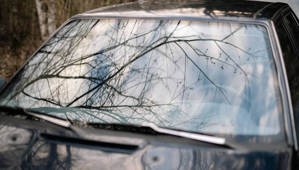 Trčil v drevo in zdrsnil v globino, v prometni nesreči umrl 23-letnik