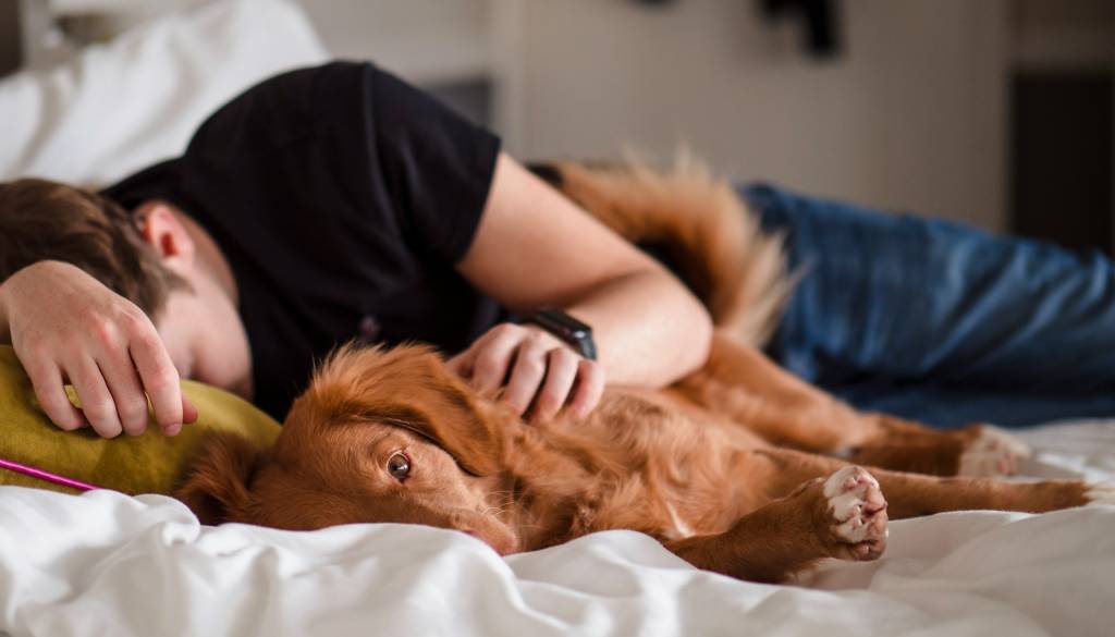 Bodite previdni! Pozabljene bolezni hišnih ljubljenčkov se vračajo