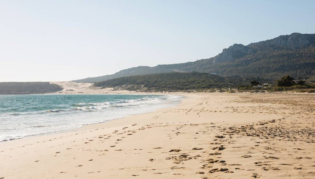 Grozljivka na znameniti avstralski plaži: V streljanju več mrtvih in ranjenih 