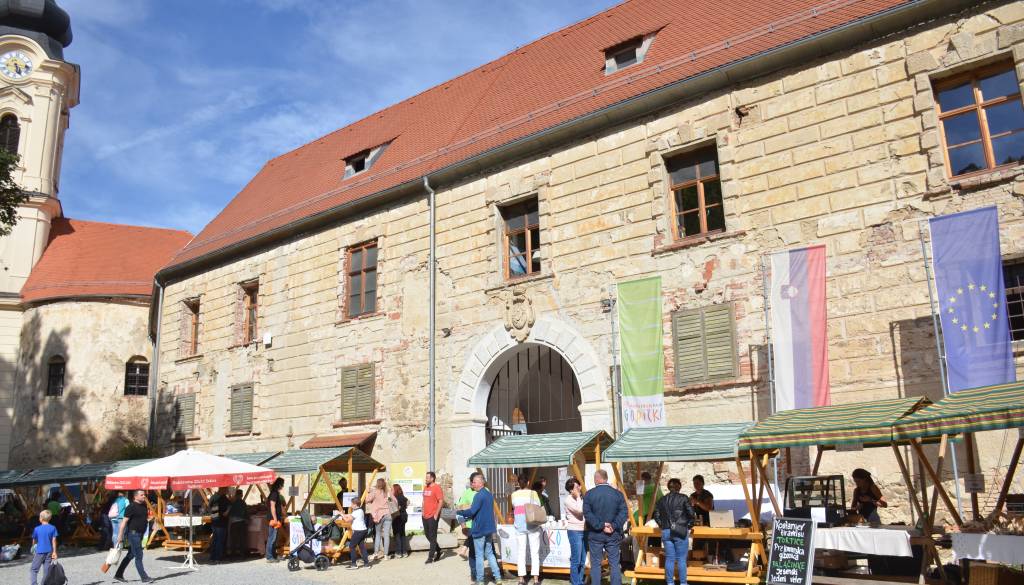 Ministrstvo odobrilo evropska sredstva za obnovo gradu Grad