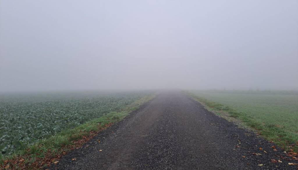 Megla, ki vztraja in vztraja, zakaj je Pomurje že dolgo ujeto v turobno vreme?