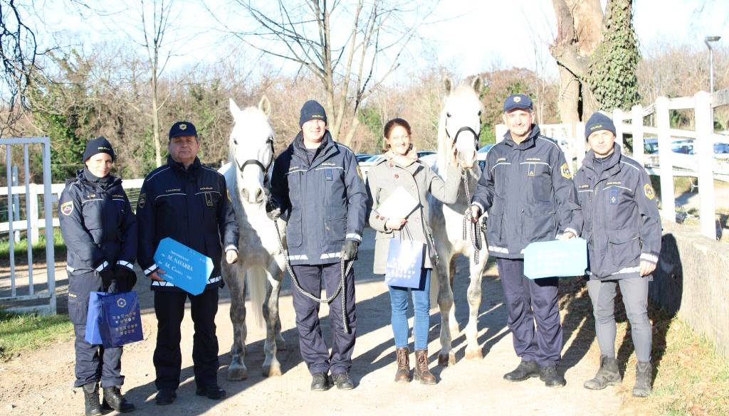 Policija preizkuša dva lipicanca: Če se izkažeta, ju januarja čaka zaposlitev 