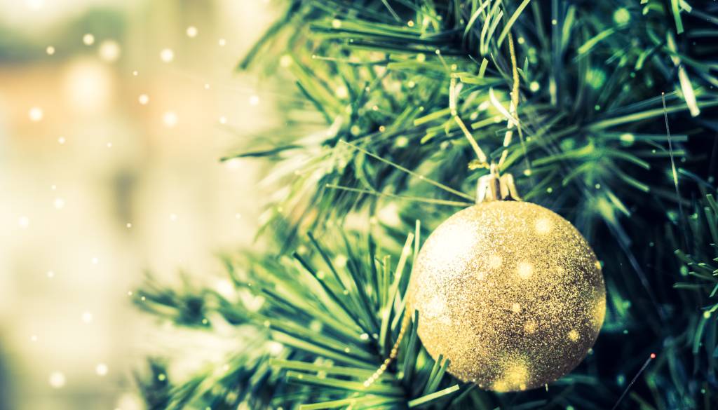 VIDEO: Kupil božično drevo, doma pa doživel šok: »Je to šala?«