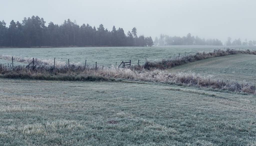 Megla bo zaznamovala konec tedna, kaj sledi v začetku tedna?