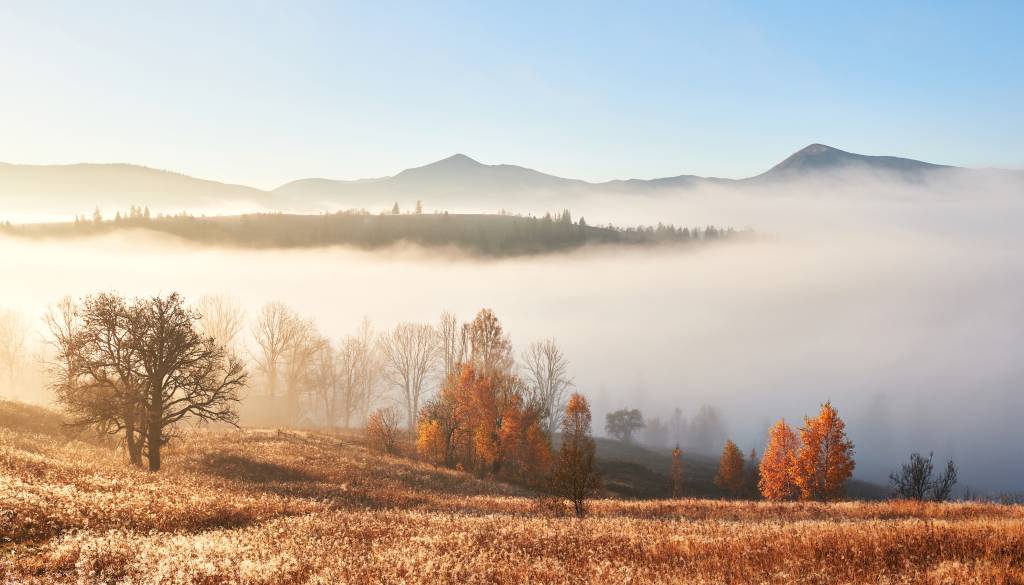 Konec tedna v megli, ali se bo vreme v začetku tedna spremenilo?