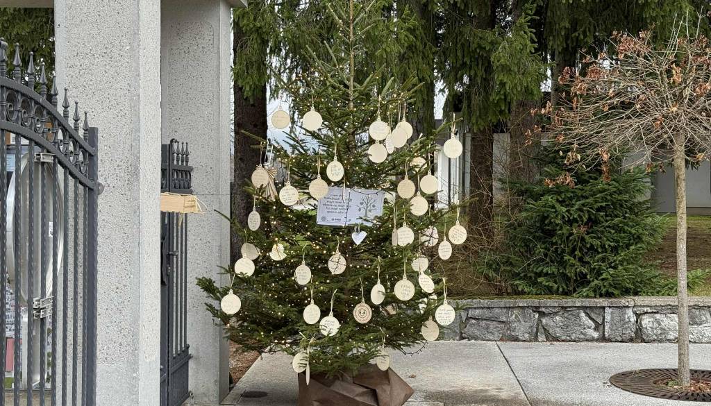 FOTO: Na kočevskem pokopališču nastaja prostor spomina, hvaležnosti in povezanosti