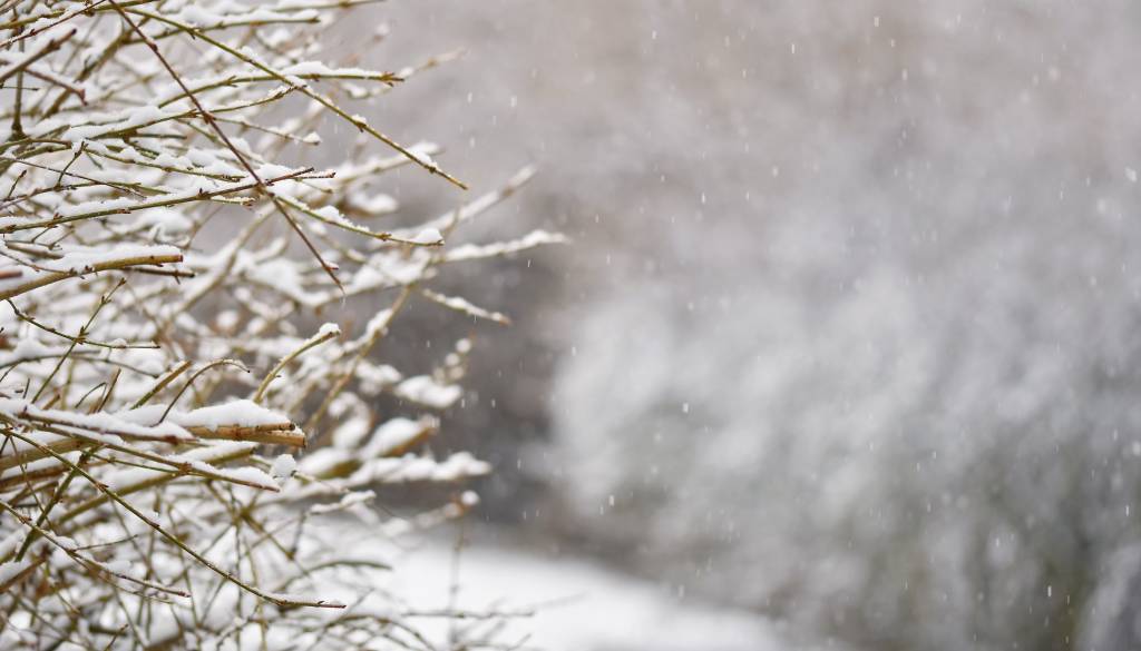 Meja sneženja se spušča