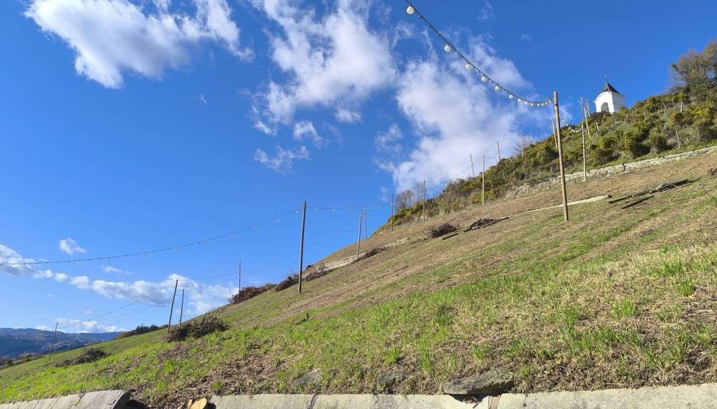 Ste na Piramidi zaman iskali koš za smeti? Občina pojasnjuje, zakaj dodatnih ne bo nameščala