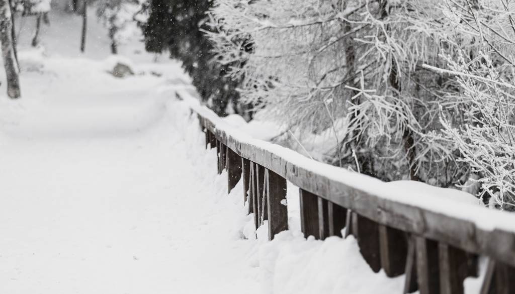 Prihaja zimsko vreme: Padavine in okrepljen veter
