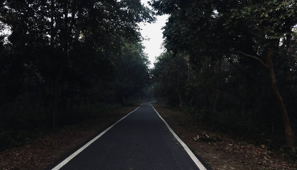 Ganljivo! Ustavila zaradi povoženega mucka, nato pa srečala moškega, ki ga išče vsa Slovenija