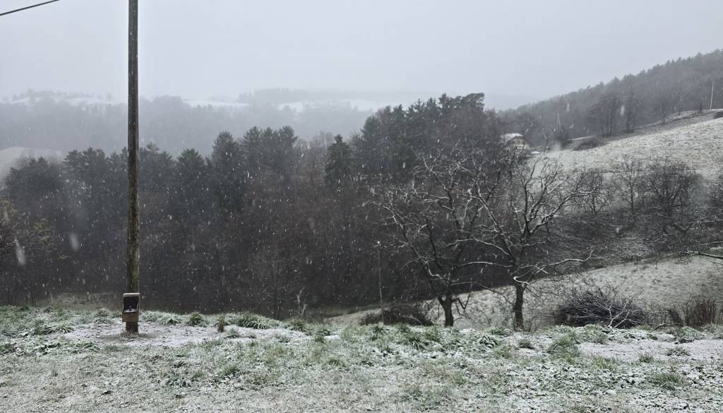 VIDEO: Sneženje se stopnjuje, največ ga pričakujejo na vzhodu države