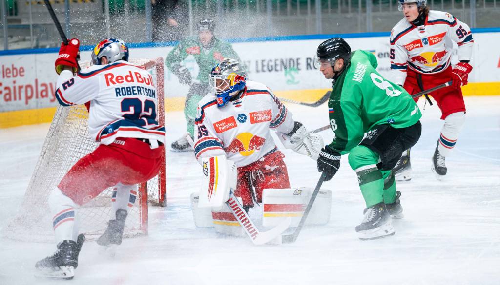 Z zmaji v novo leto: Obljubljajo 'Teddy Bear Toss',  otroci do 16. leta s pliškom brezplačno na tekmo