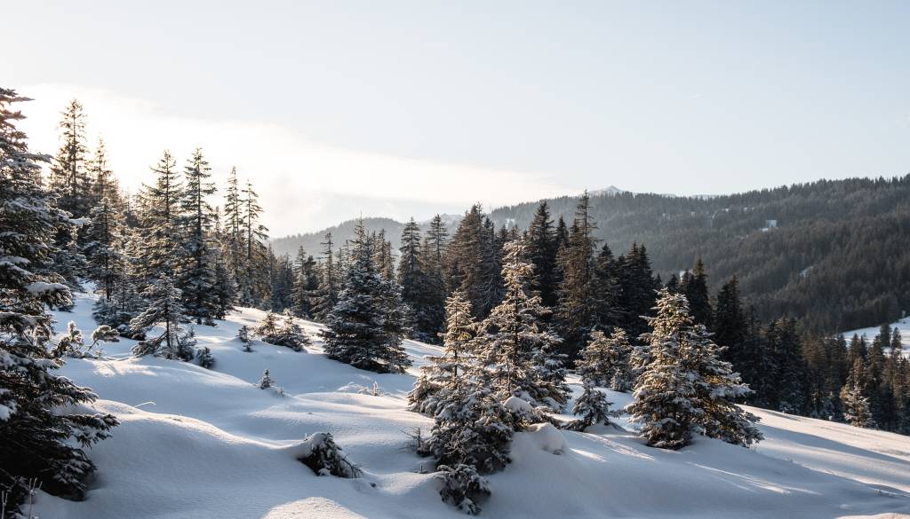 FOTO: Bel božič je razveselil Slovenijo, kakšne vremenske razmere sledijo?