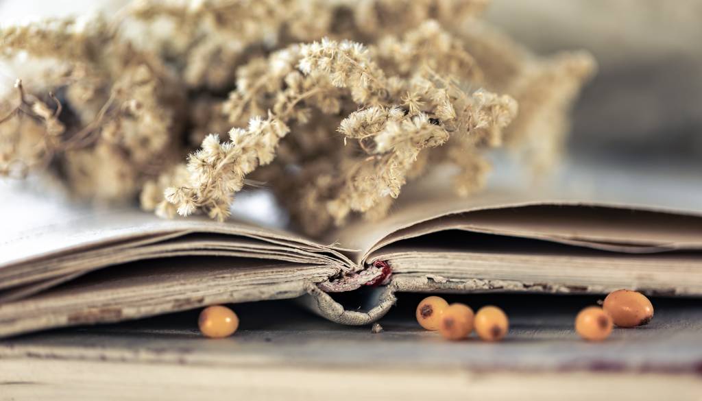 Priložnost za ustvarjalce vseh generacij na temo sreče