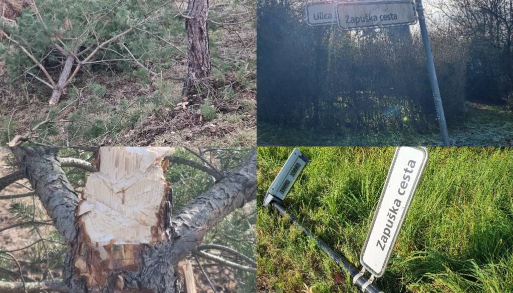 FOTO: Po poti vandalov na tej ljubljanski ulici: Nastradali svetilka, tablice, bor