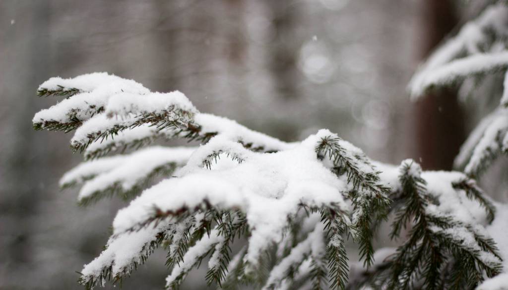 Jutri tudi do minus 15 stopinj Celzija, možne večje količine snega 