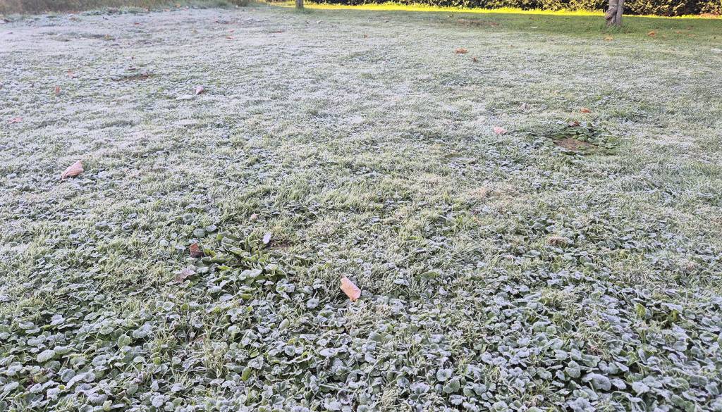 Mrzlo jutro po vsej Sloveniji, temperature krepko pod ničlo