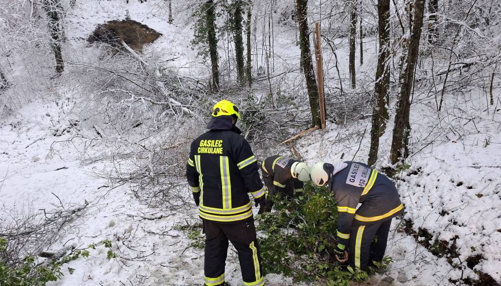 Elektro Maribor o električnem mrku: Večkrat smo bili primorani prekiniti delo zaradi padanja dreves, ki so ogrožala ekipe