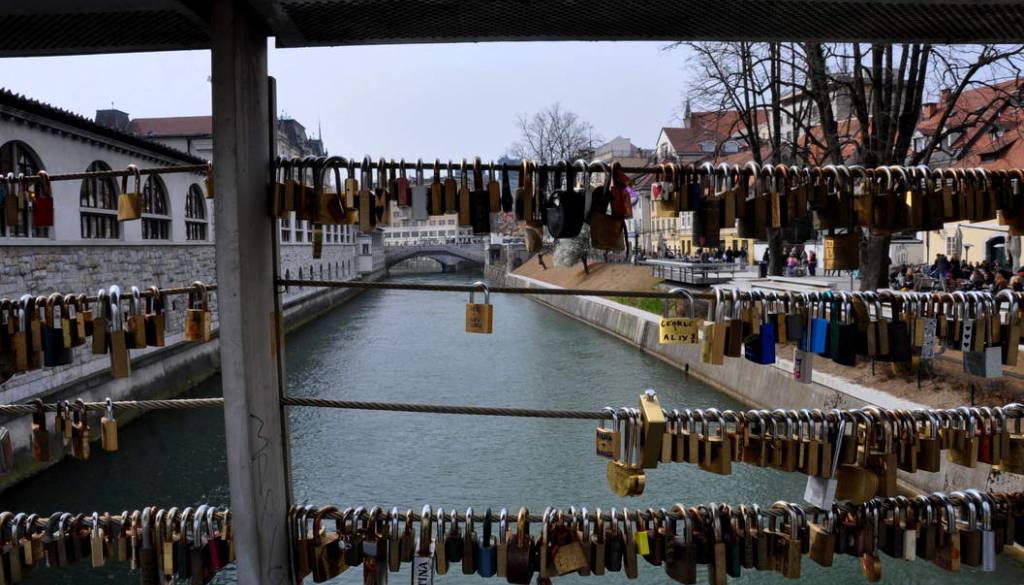 Ljubezen v Ljubljani lahko letos “posadite”. Plant Immortelle uvaja novo praznično gesto